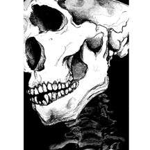 "Skull"